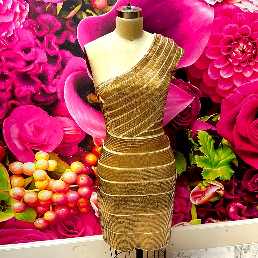Herve leger dress